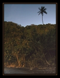ADG plage9